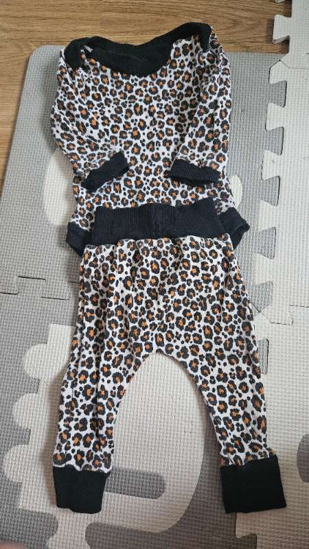 Leopard set