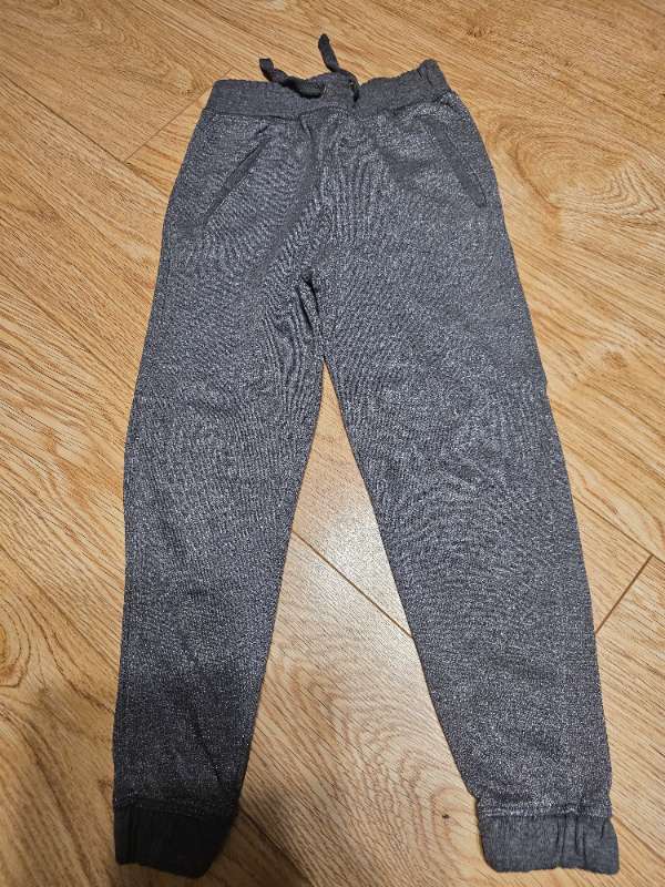 Joggers silver