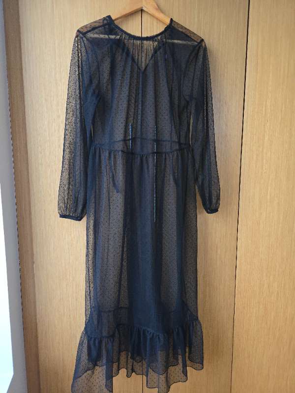 ZARA sheer dress