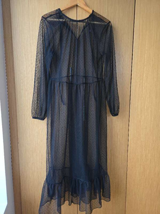 ZARA sheer dress