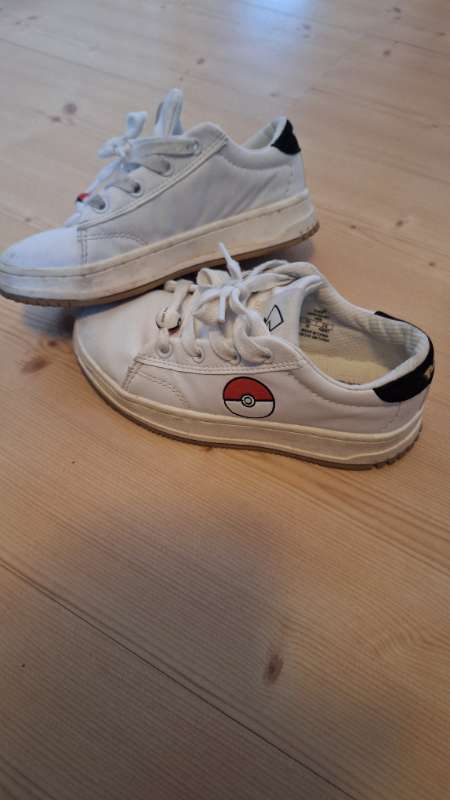 Zara pokemon