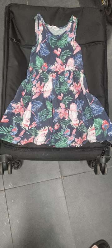 Kjóll páfagaukur