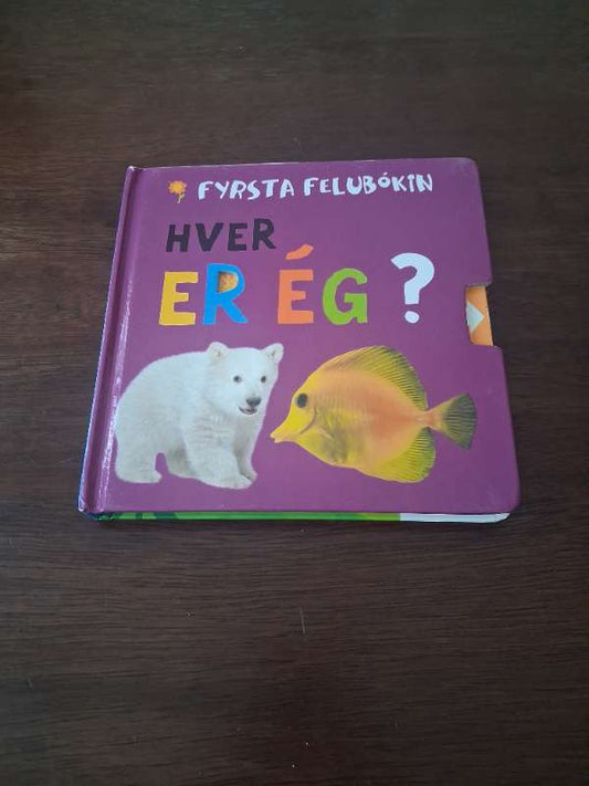 Hver er ég fyrsta felubókin