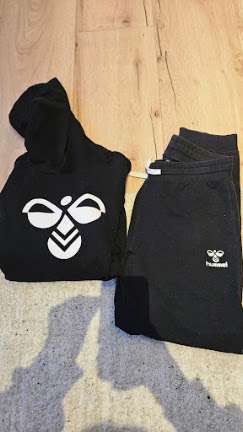 Hummel galli