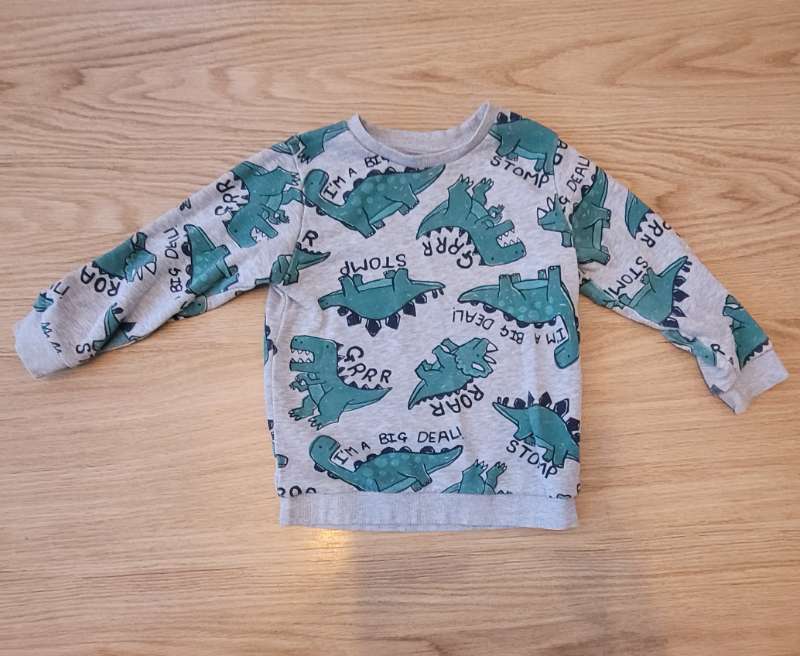 Dinosaur sweater