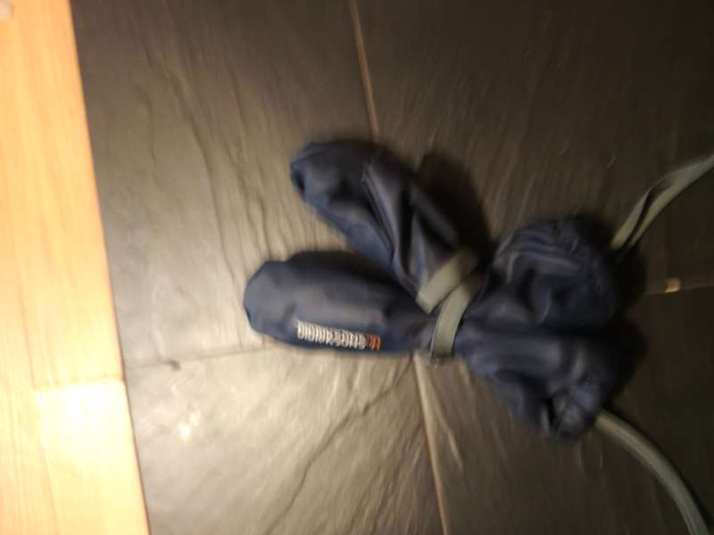 Didriksons vettlingar