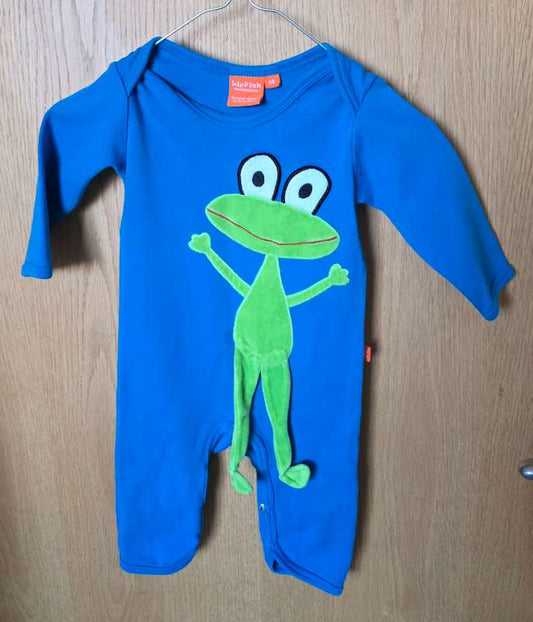 Náttgalli frog