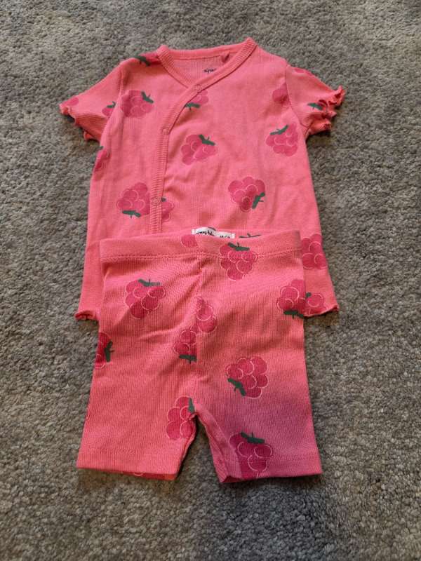 Raspberry set