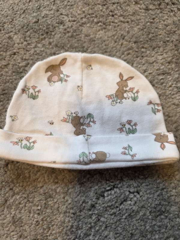 Hat bunny