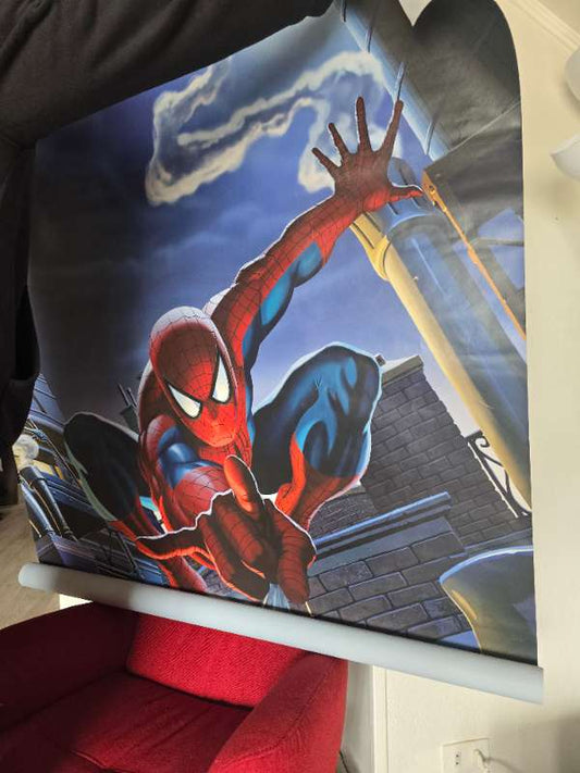 Spiderman Poster