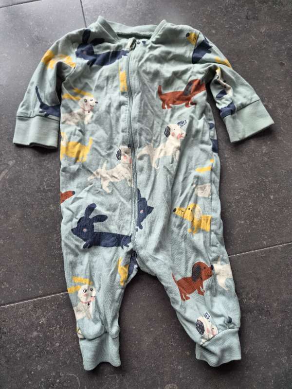 Náttgalli hundar ljósblár