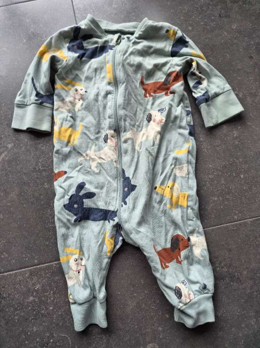 Náttgalli hundar ljósblár