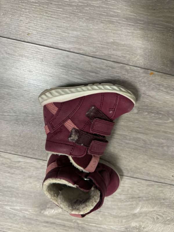 buty ecco