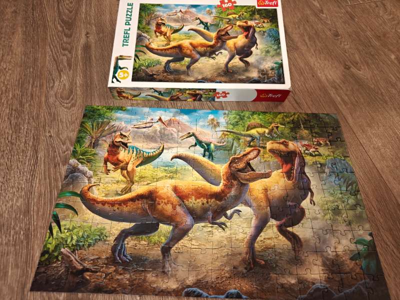 Dinosaur puzzle 160