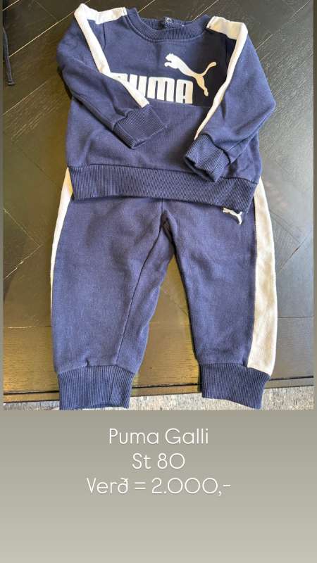 Puma galli