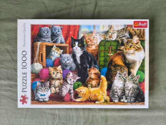 cats puzzle