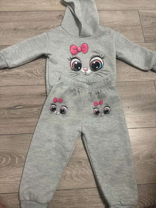set dres szary kot