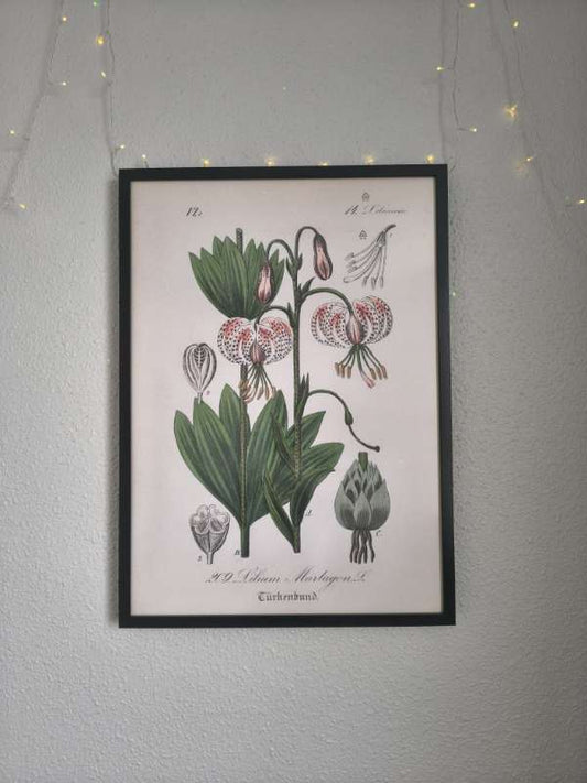 plant poster IKEA