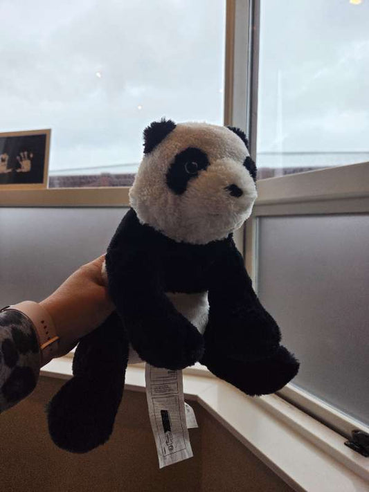 Bangsi Panda