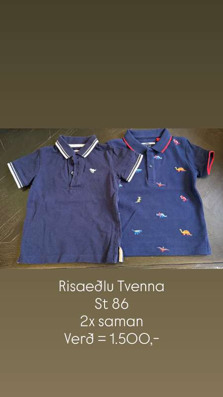 T-shirt - Risaeðlu
