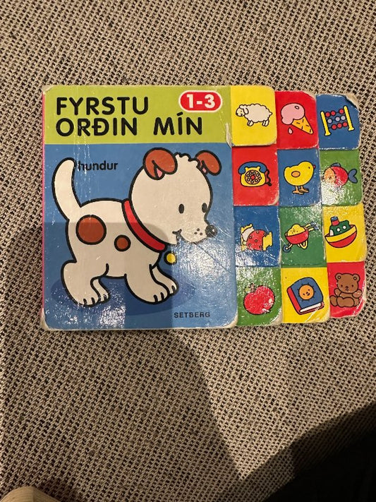 Bók, fyrstu orðin mín