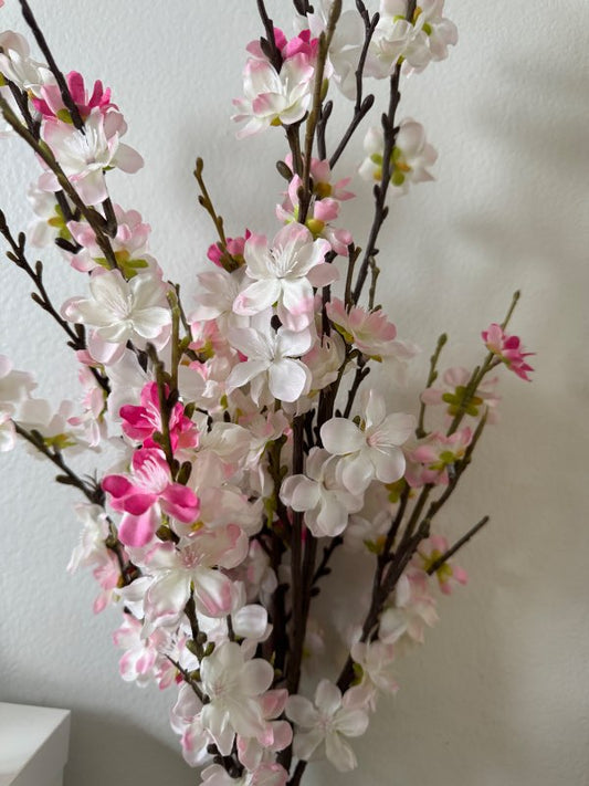Spring flowers