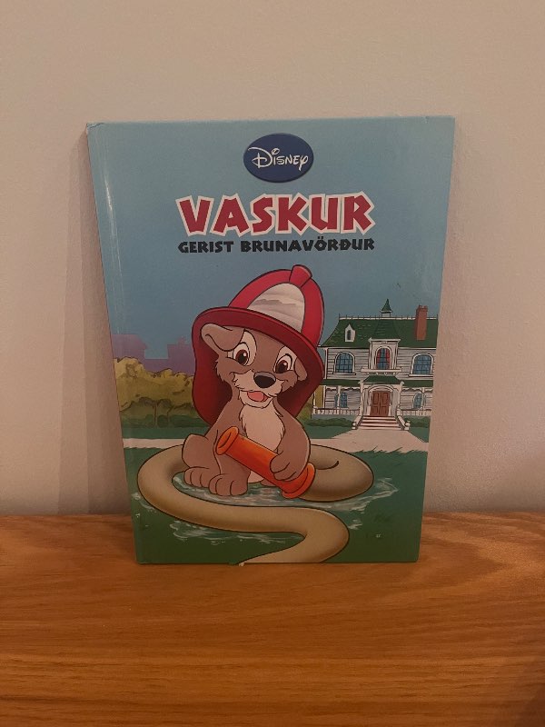 Disney bók Vaskur