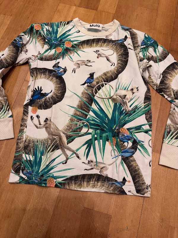 Molo monkey top