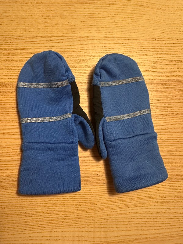 Hjallastefnan blue gloves