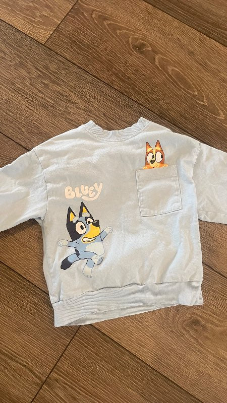 Bluey peysa