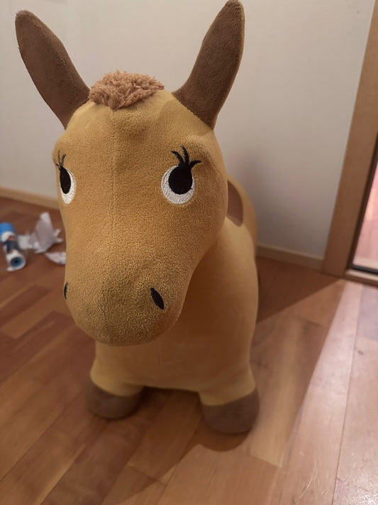 Donkey