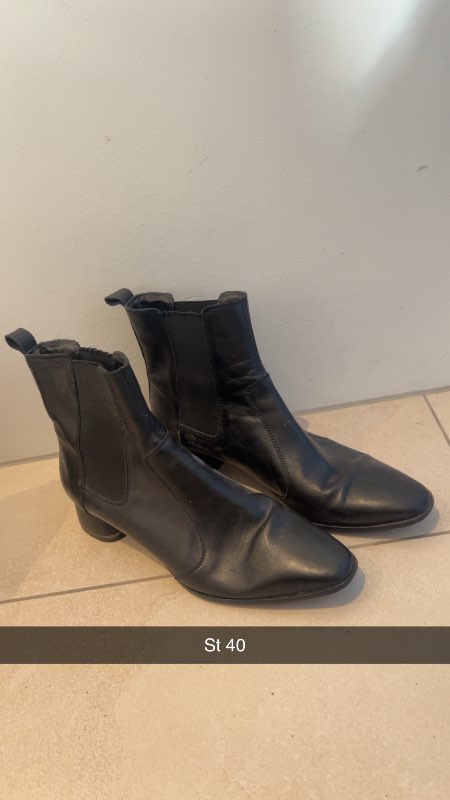 Hælar massimus dutti