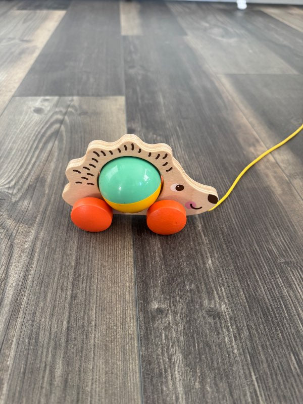 hedgehog with a ball