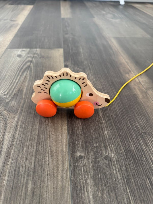 hedgehog with a ball