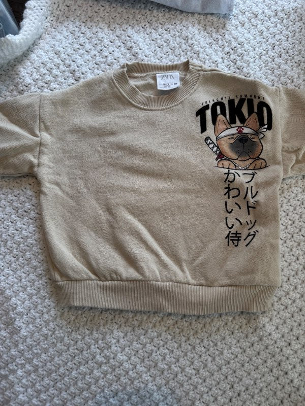 Pug peysa zara