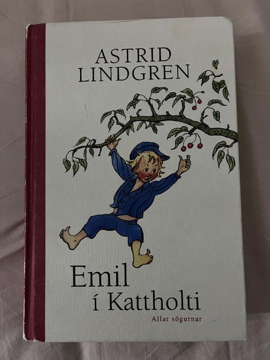Emil í Kattholti