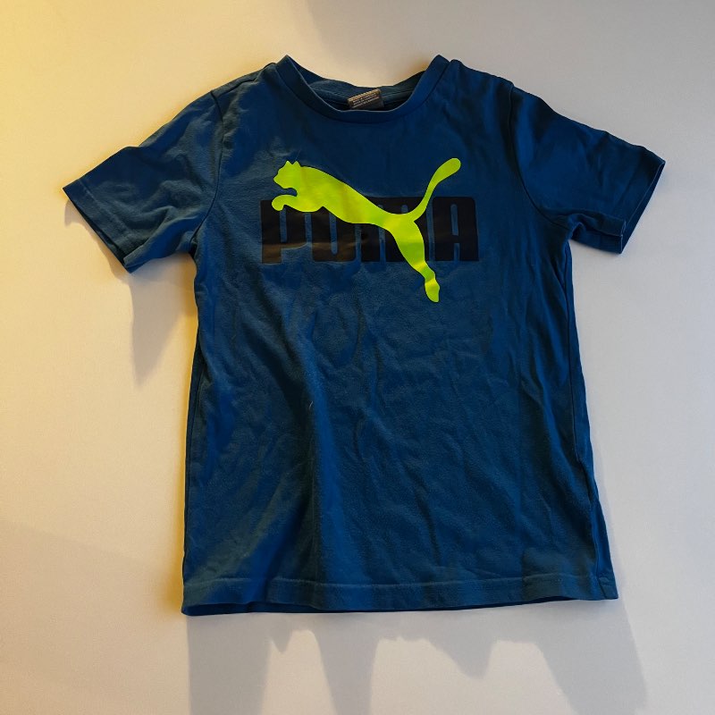 Puma bolur
