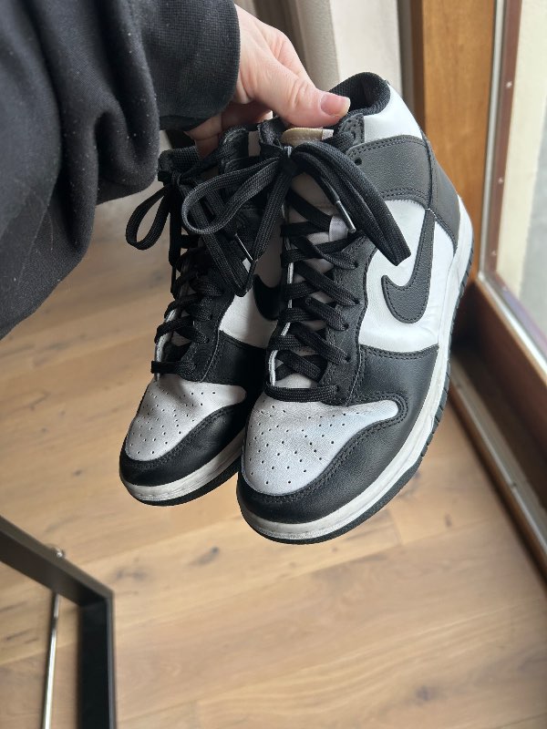 Nike dunks high