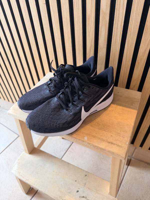 Nike Pegasus hlaupaskór(notað innandyra)