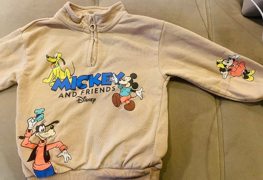 Mickey Disney peysa