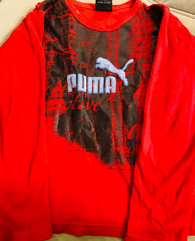 Puma langermabolur