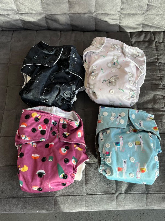 La petite ourse Ai2 taubleia+aukainnlegg