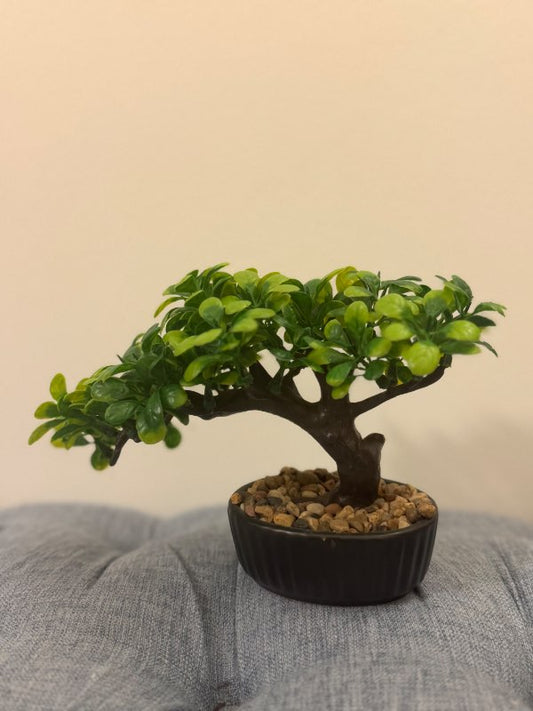 Small display bonsai fake
