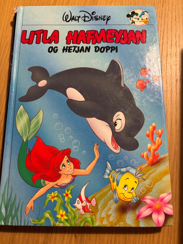 Litla hafmeyjan og hetjan doppi