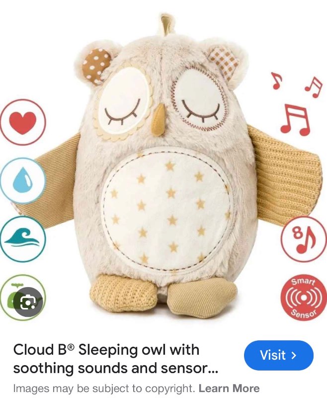 Sleeping owl
