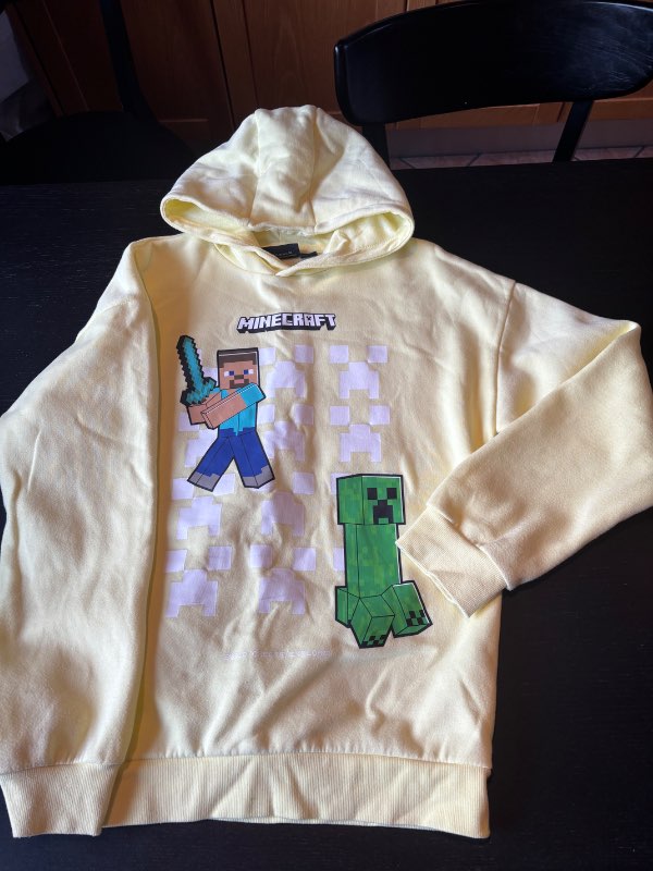 Peysa Minecraft st.158