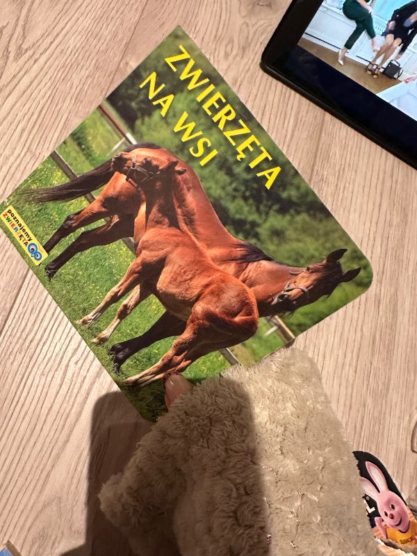 Bók zwierzeta