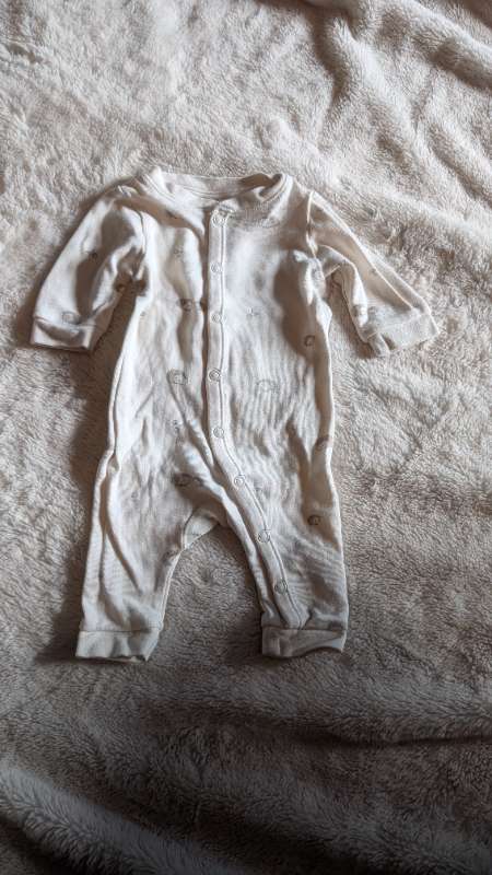 Heilgalli / náttgalli broddgöltur