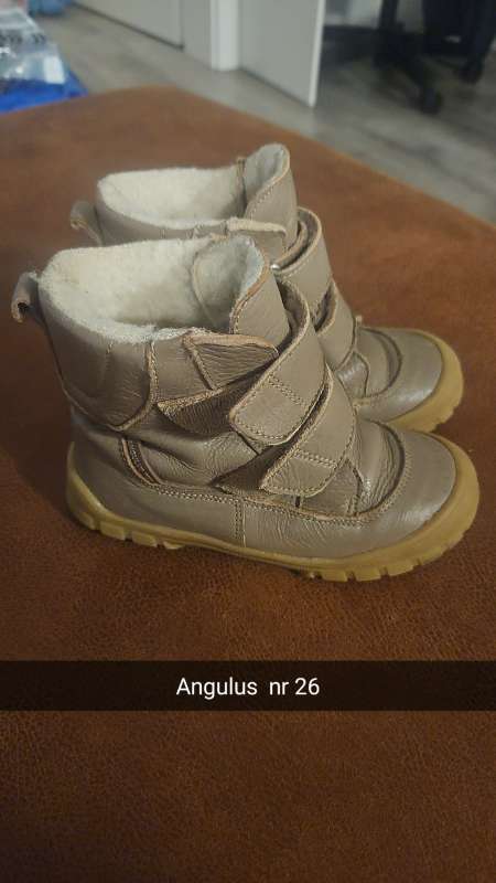 Angulus kuldaskór