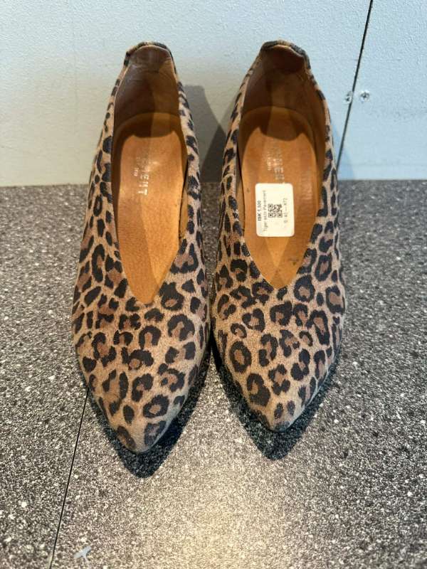 Tiger skór Pavement